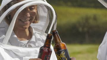 beekeeping and craft beer experience for two