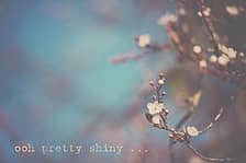 ooh pretty shiny ... logo