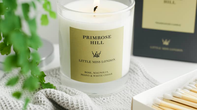 Little Miss Primrose Hill