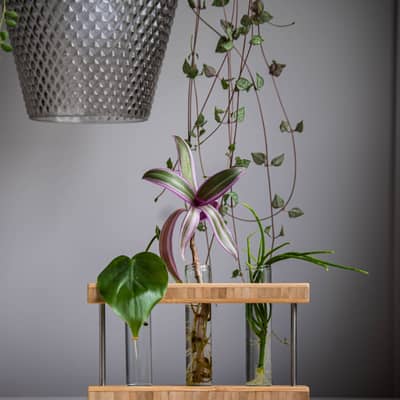 Bamboo Prop Station