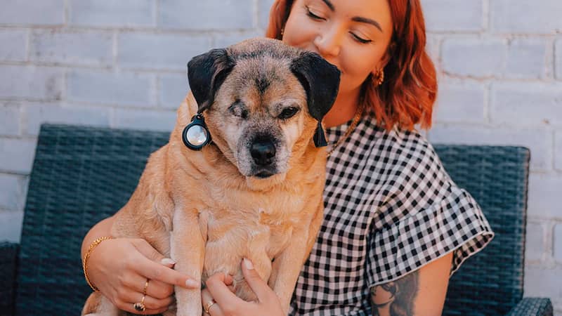 The faces behind the business