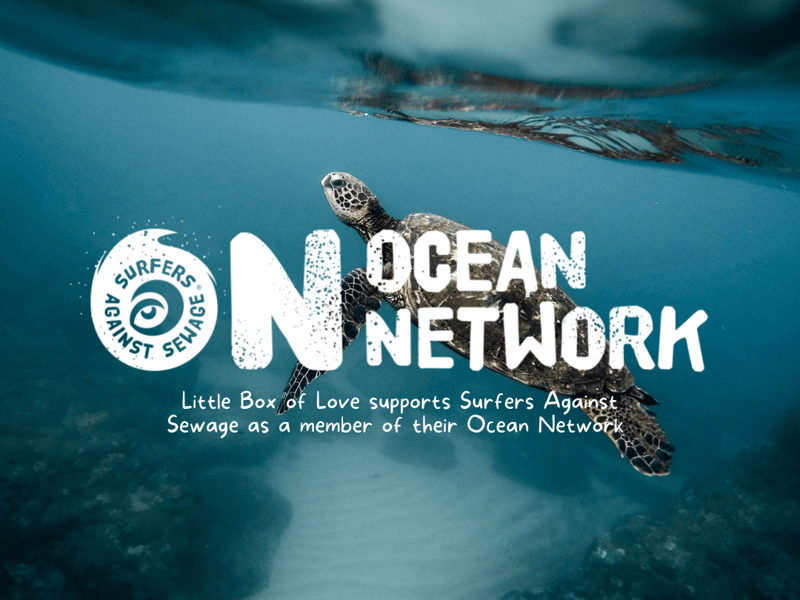 SAS Ocean Network