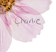 Charlie Presses Flowers logo