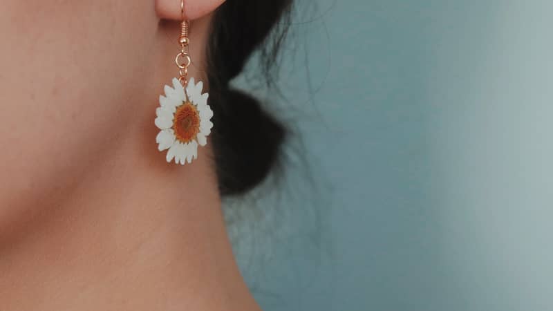 Real Daisy Flower Earrings