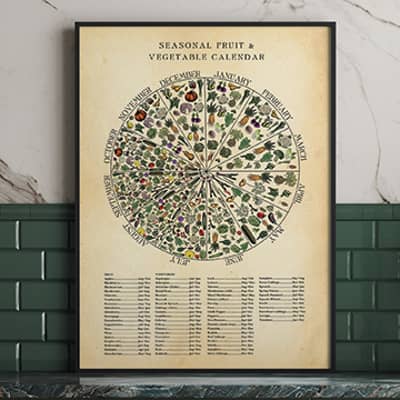 One of my Seasonal Fruit & Vegetable charts