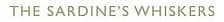 The Sardine's Whiskers logo