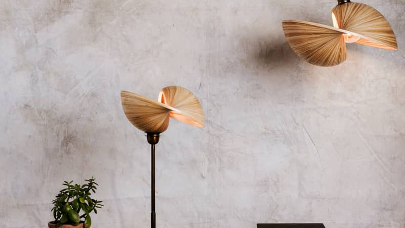 Bamboo and bronze table lamp on wooden bar table with succulent plant and books and a hanging bamboo ceiling shade