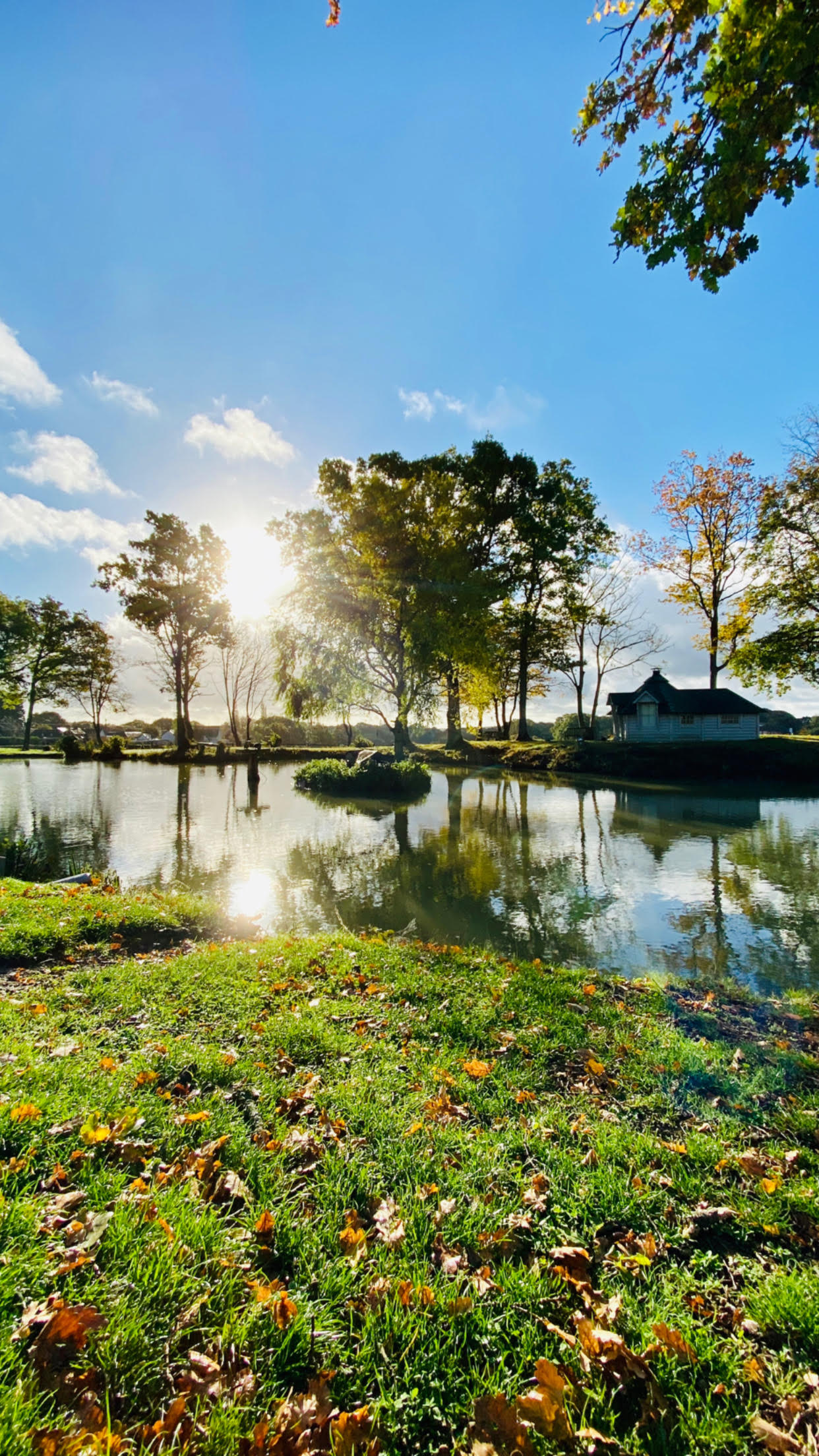 Lake view from Secret Creation Offices