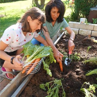 The Vibrant Veggies Box in action.
