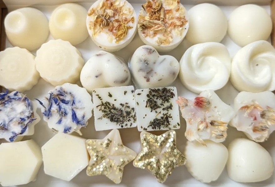 Bird at Home Letterbox Gifts 