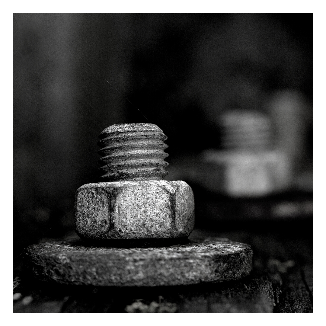 Sarah loves teaching people how to get the best from their cameras/phone cameras. 