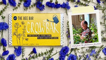 Partner GG Biscuit Banner