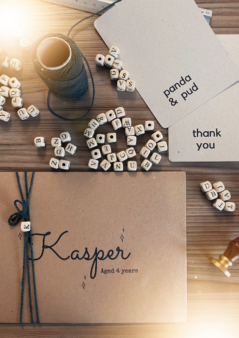 Panda and Pud workspace