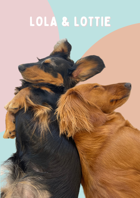 CEO Pups of FasHUN Hounds