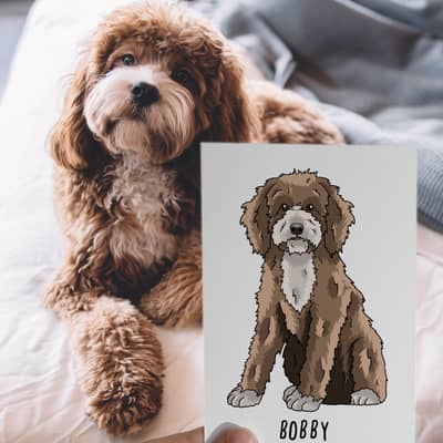 a brown cockapoo posing on a bed next to their pet portrait print