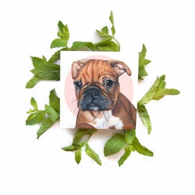 French Bulldog pet portrait hand painted ceramic hanging ornament bauble