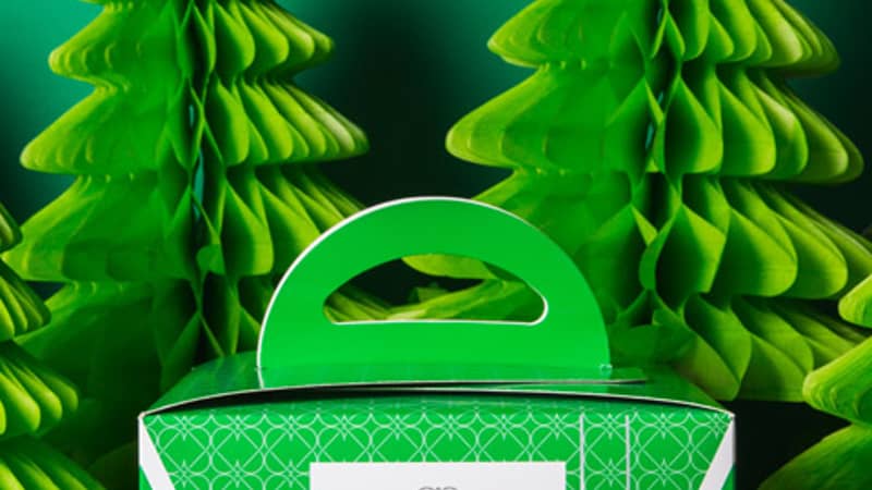 Classic Vegan Panettone