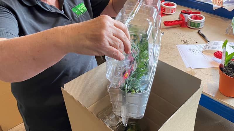 Member of the dispatch team packing