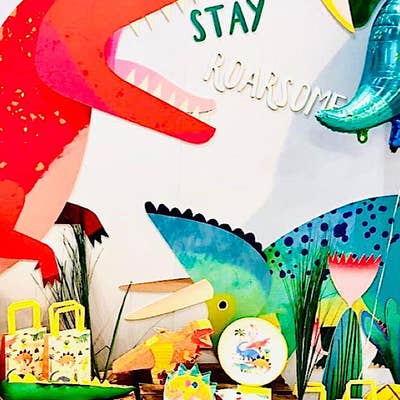 Dinosaur Party in a Box