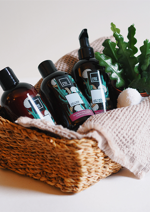 Lan Y Mor Shower Essentials  Set