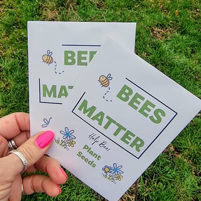 Bees are in trouble. Sowing wildflower seeds can help them survive.