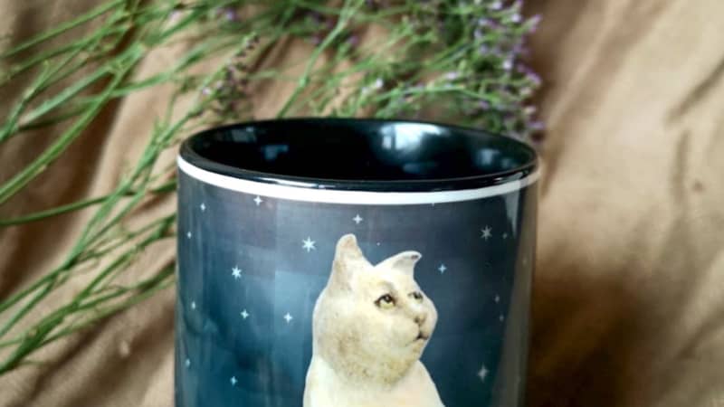 Kitten In Space - Sustainably Made Coffee Mug