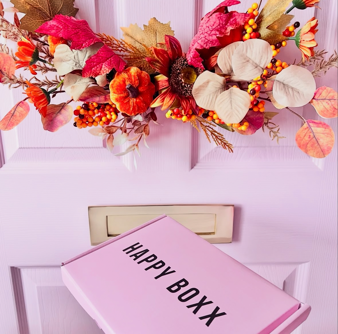 Image of a Happy Boxx being delivered through a letterbox