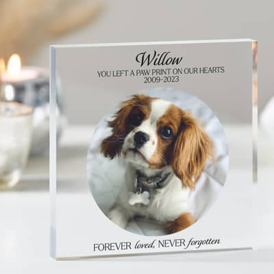 Pet memorial photo blocks, personalised with name, quote and years.