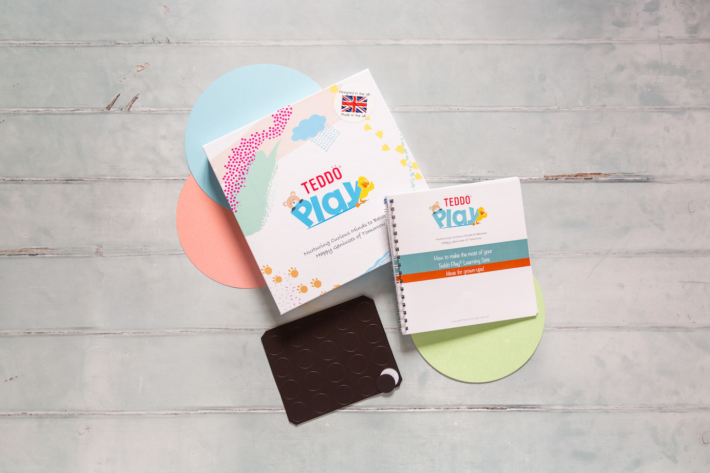 Educational Resources for Children Logic Set, Countries of the World, Life-Cycles Board