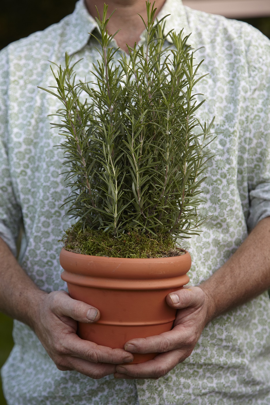 Witty combinations of plants & edibles