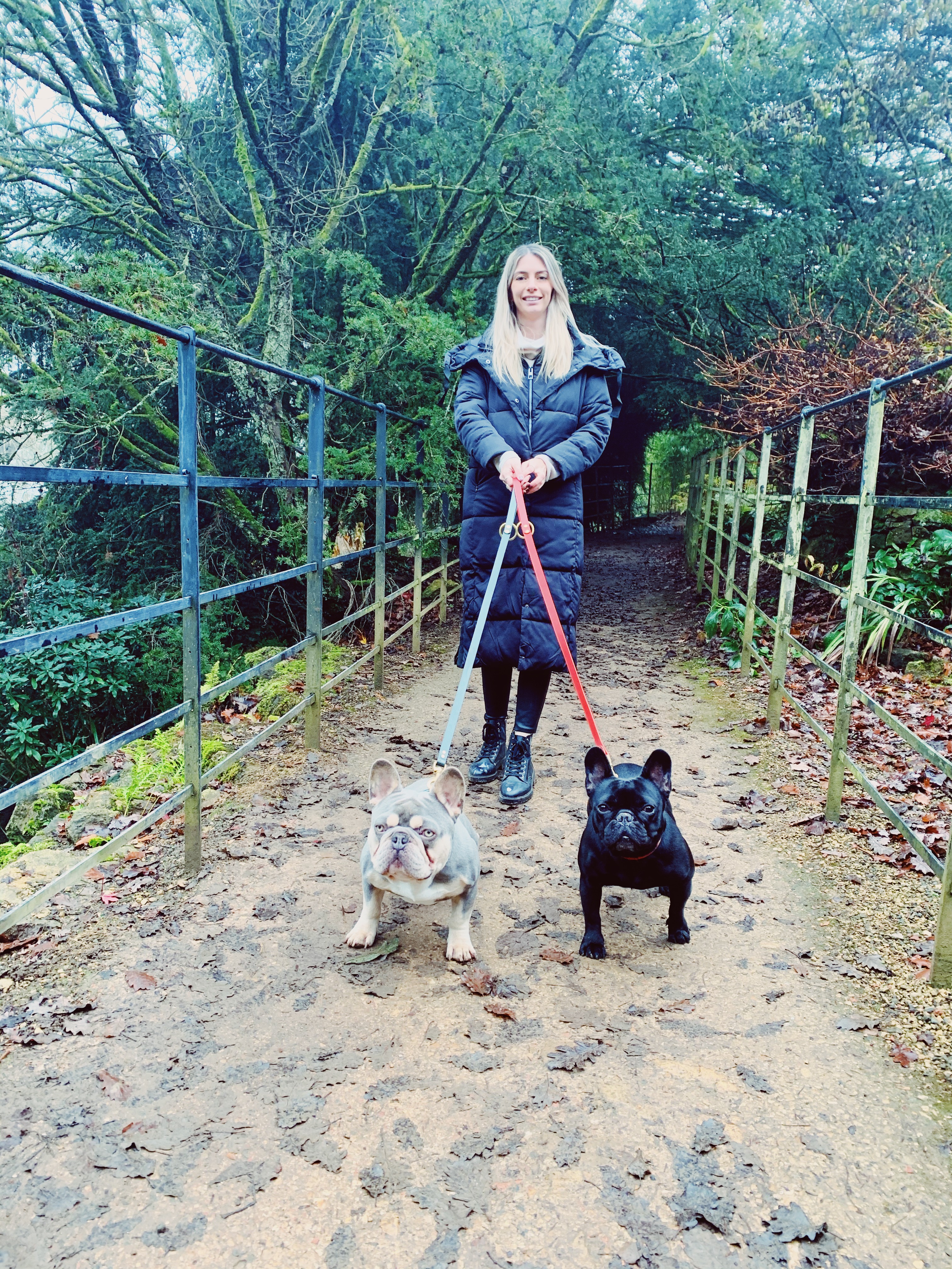 Leather Dog collar and Lead set