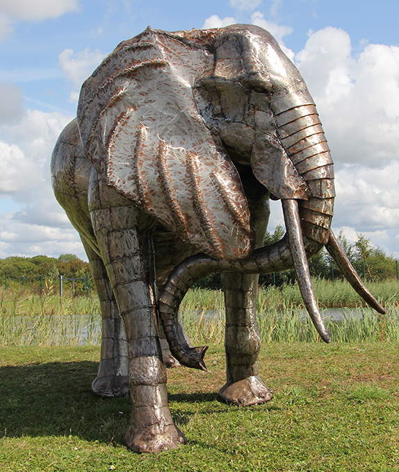 Elephant