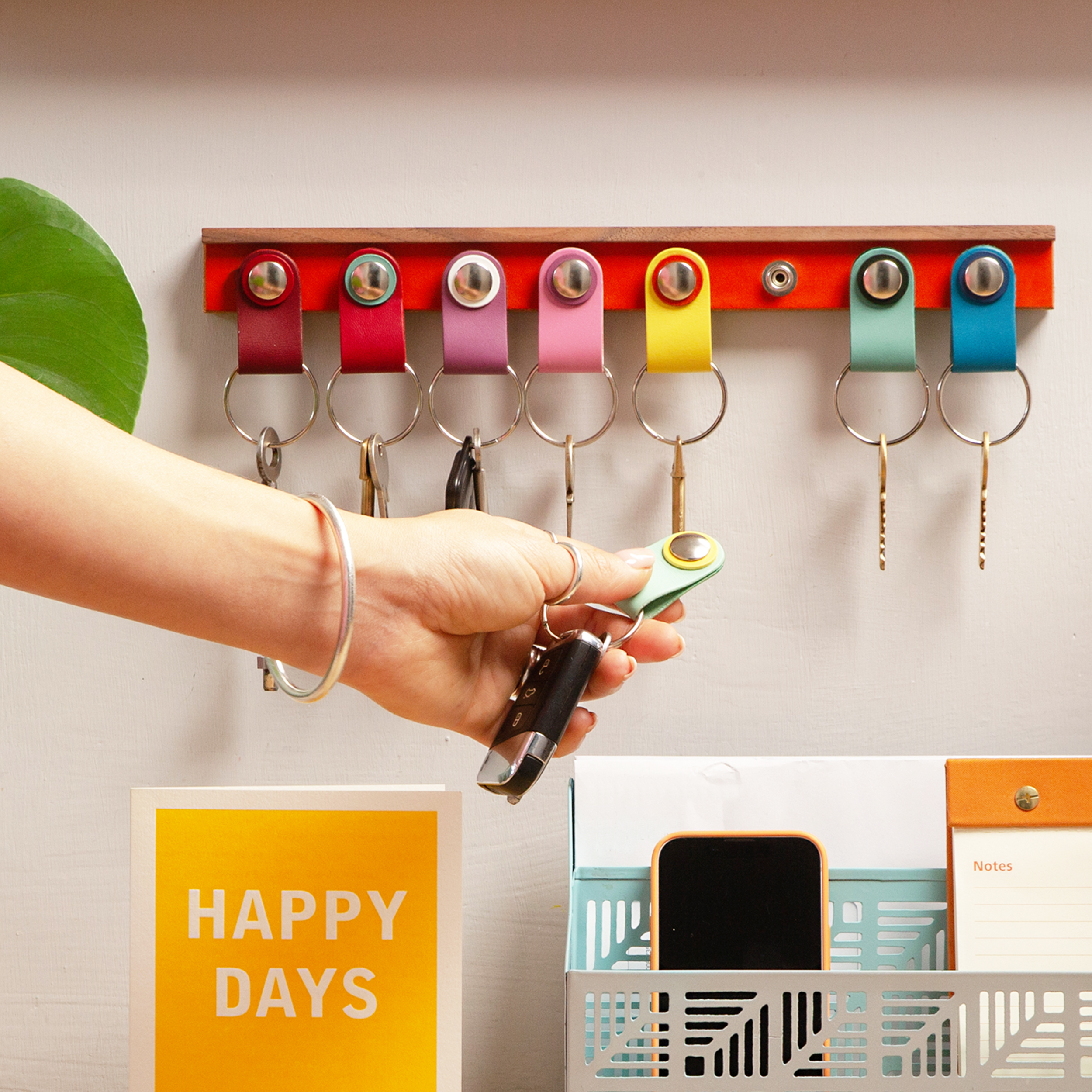 Colourful Key storage system