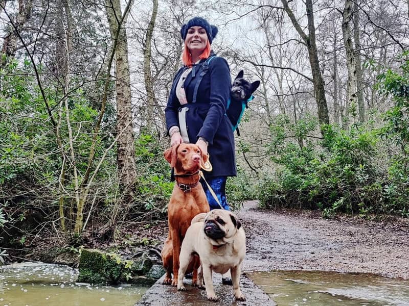 Creator and her testers