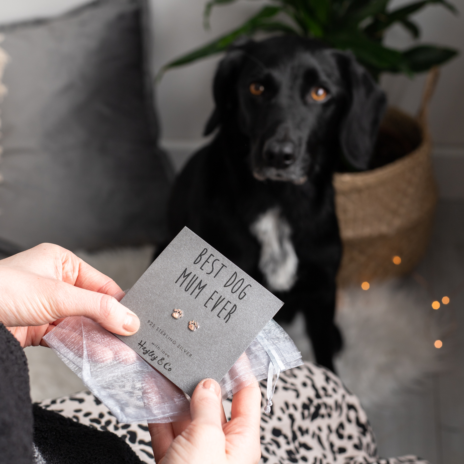 Our sterling silver earrings come complete with gift bag