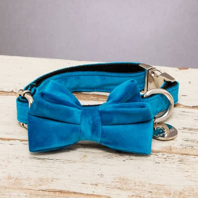 Percy & Co. Constantine Bow Tie Collar