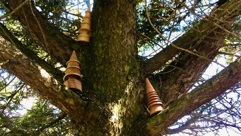 Woodturned trees inspired by nature
