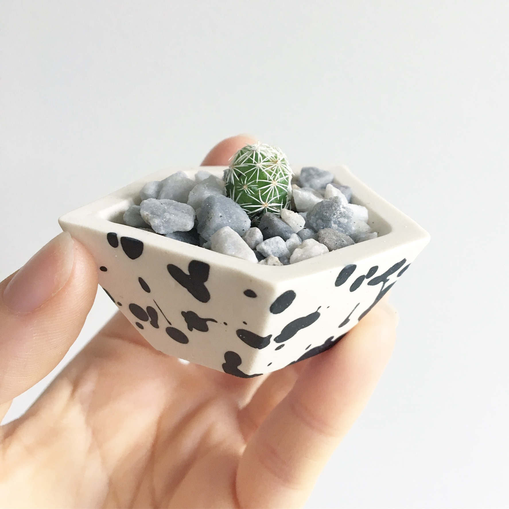 Mini Geometric Planter