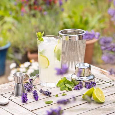 Highball Cocktails Pink G&T