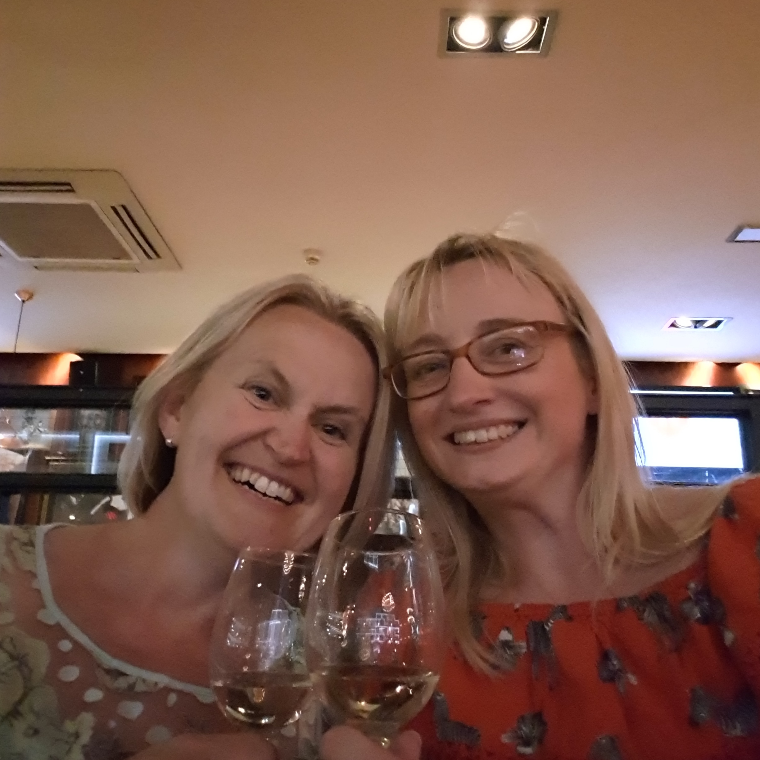 STITCHFINITY Alison and Annie