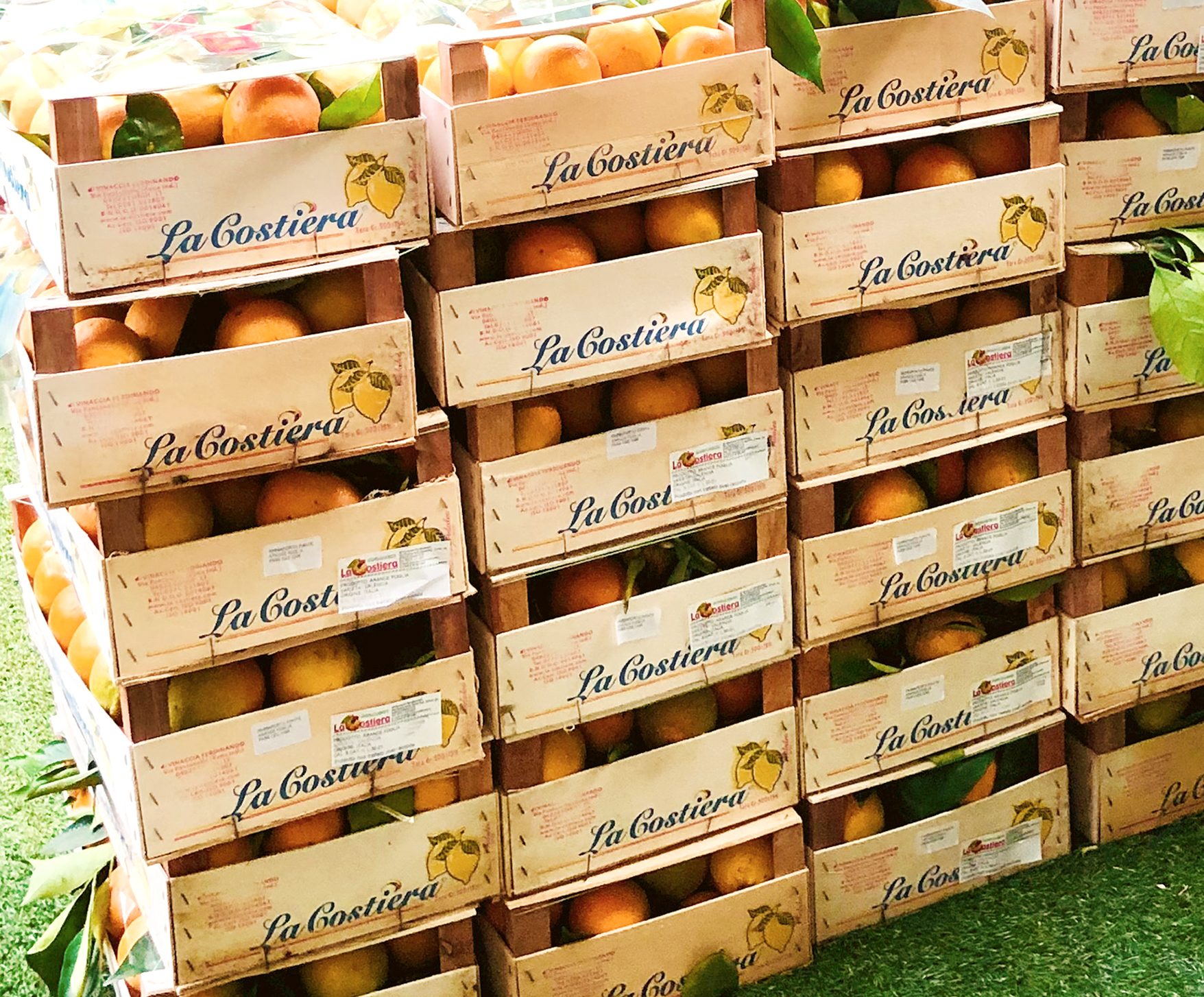 Organic orange and lemon zest from Amalfi