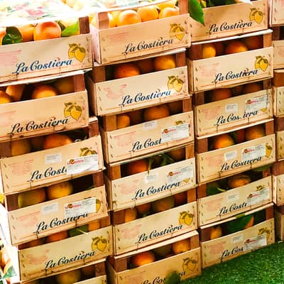 Organic orange and lemon zest from Amalfi