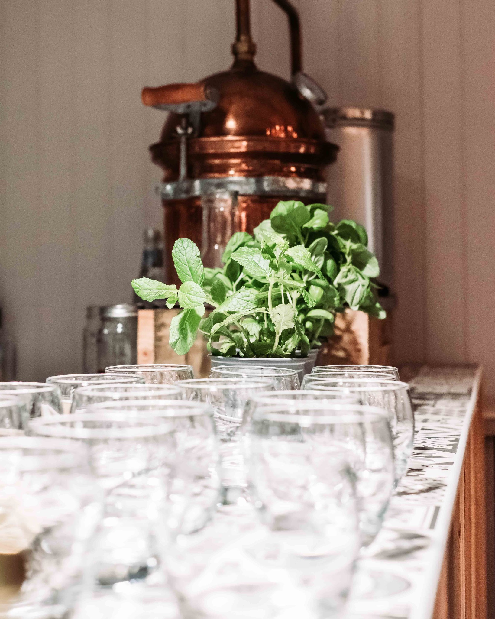 Tasting evening at the distillery.