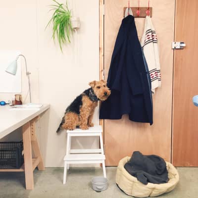 Edwyn at home in the studio