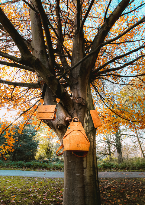 A Complete Eco-conscious Collection