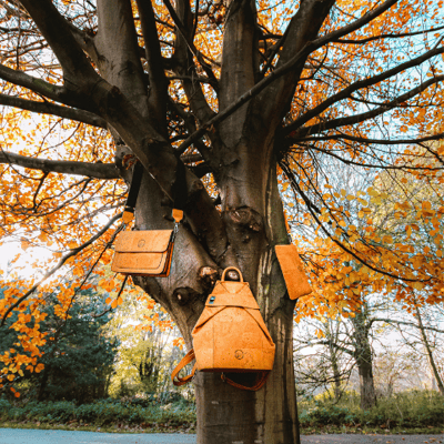 A Complete Eco-conscious Collection