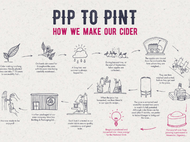Pip to Pint PULP Cider Production, How we make our cider