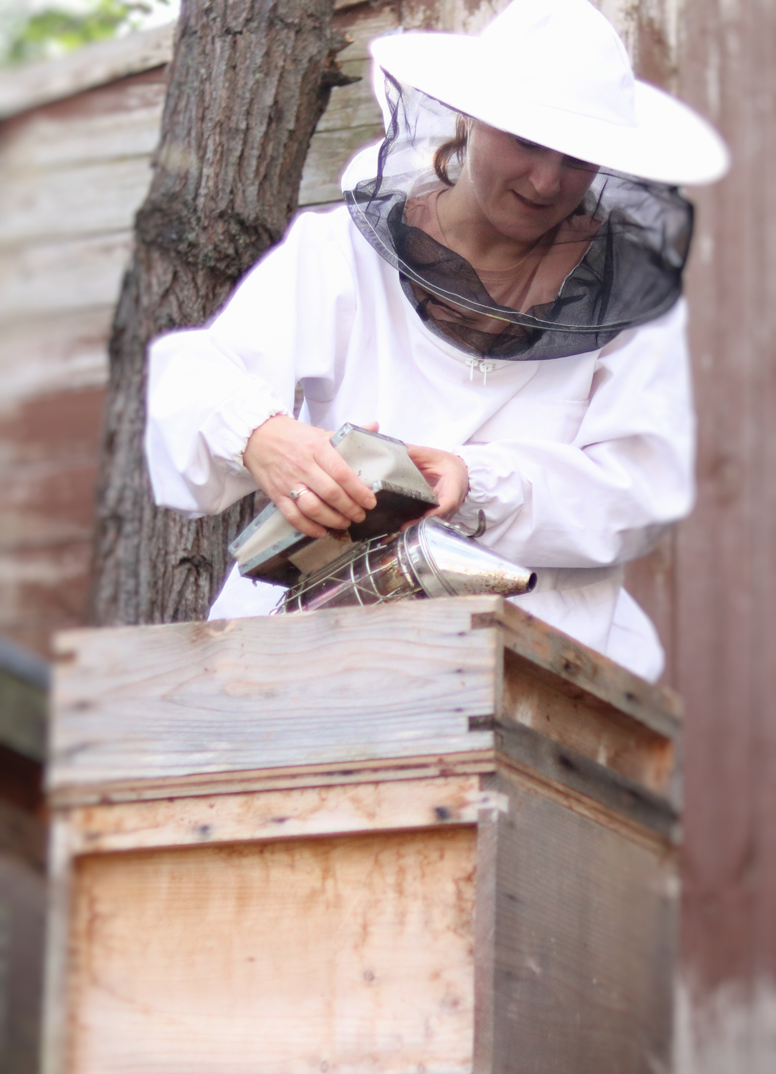 apiary