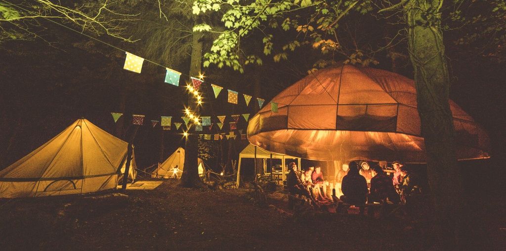 Wildcamp under the stars
