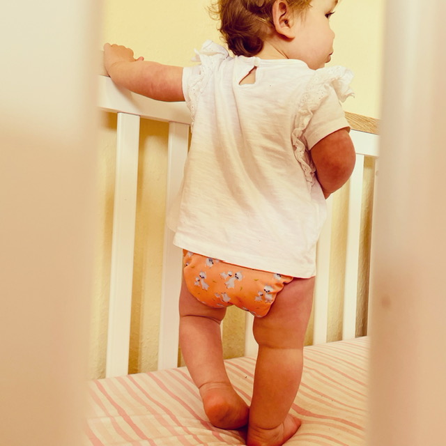 Loveable Llamas Nappy